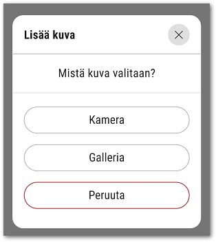 Tarkastusluettelo