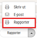 Rapporter